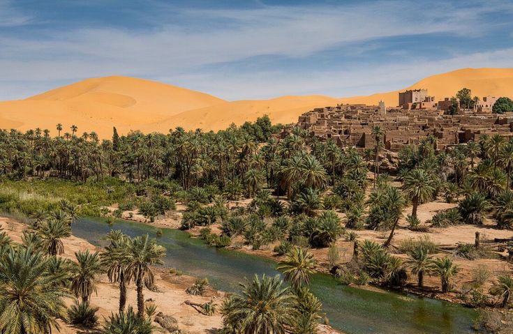 Dunes et palmeraie de l'oasis de Taghit