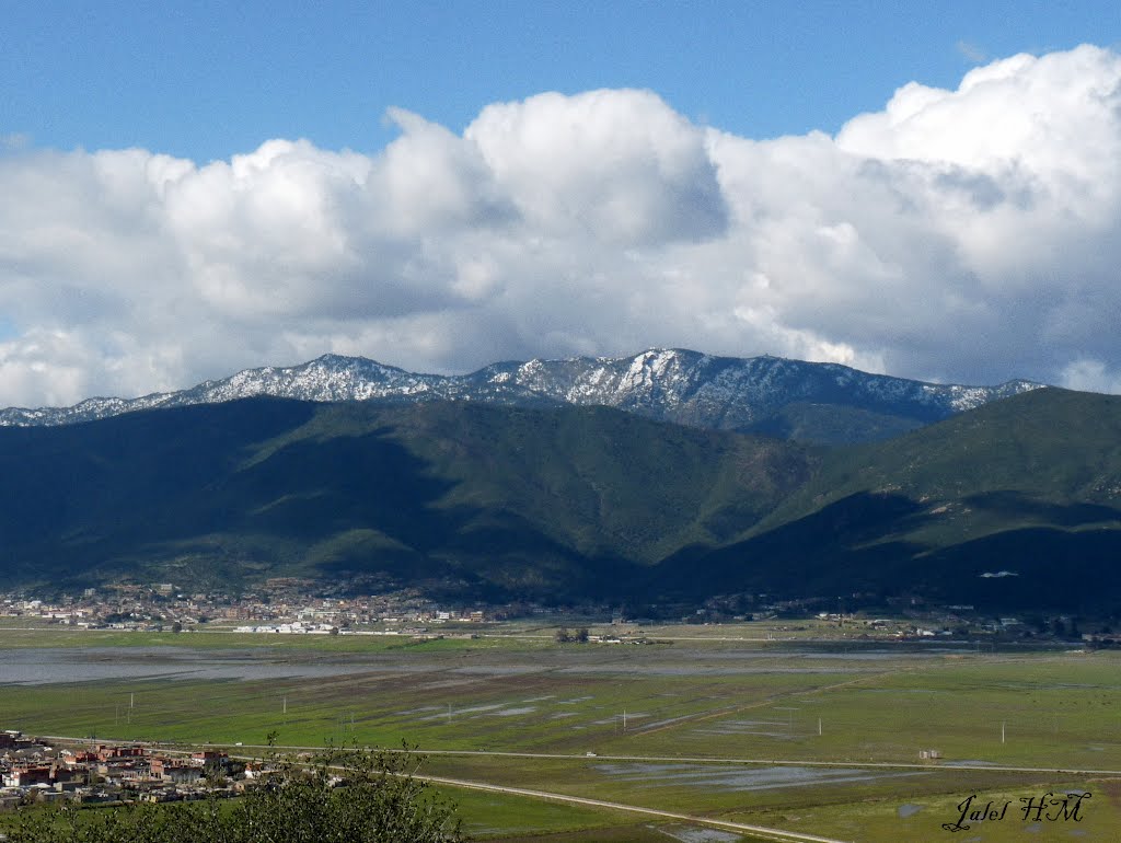 Le massif boisé de l’Edough surplombant Annaba