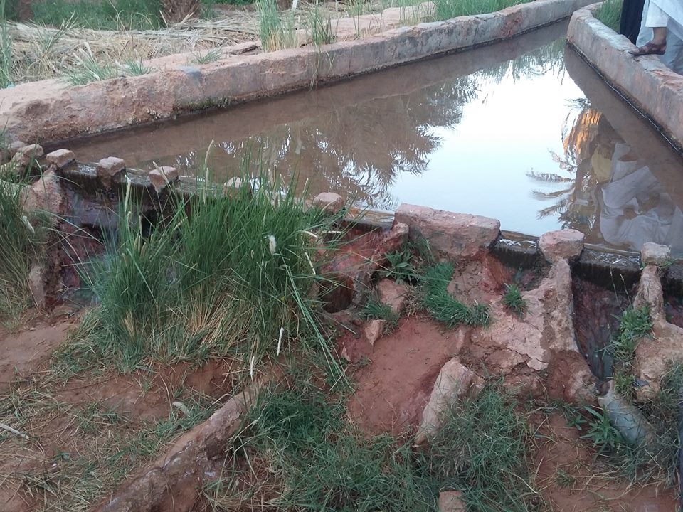 Bassin de partage des eaux d’une foggara à Tamentit, wilaya d’Adrar