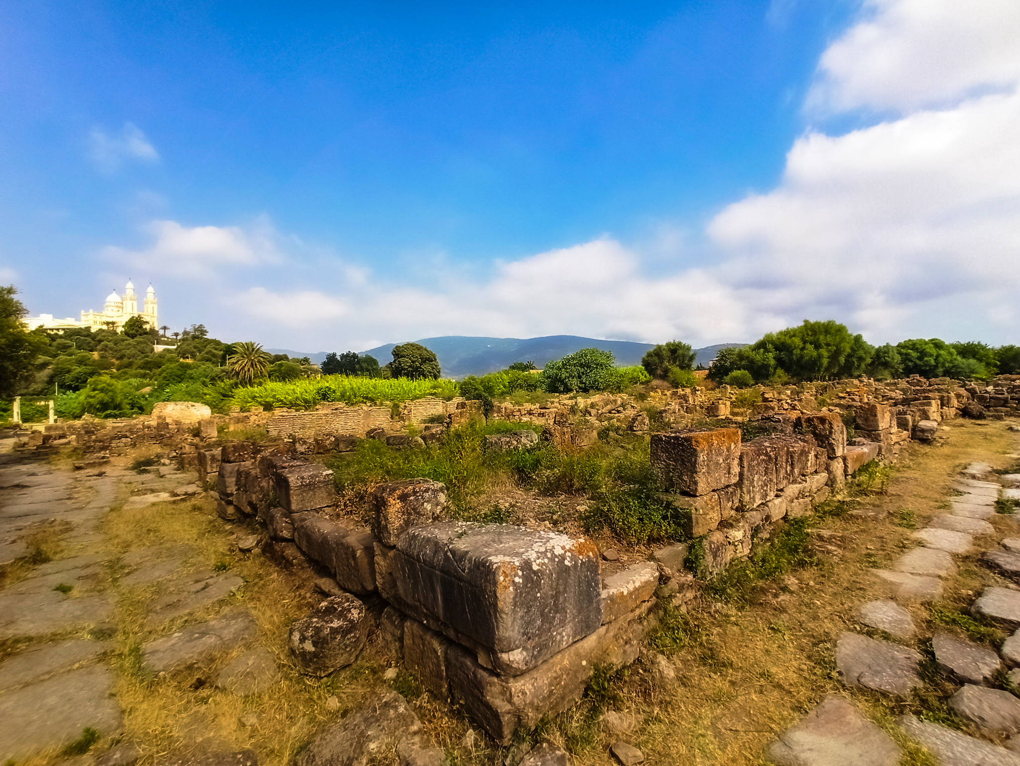 Les vestiges romains d’Hippo Regius à Annaba