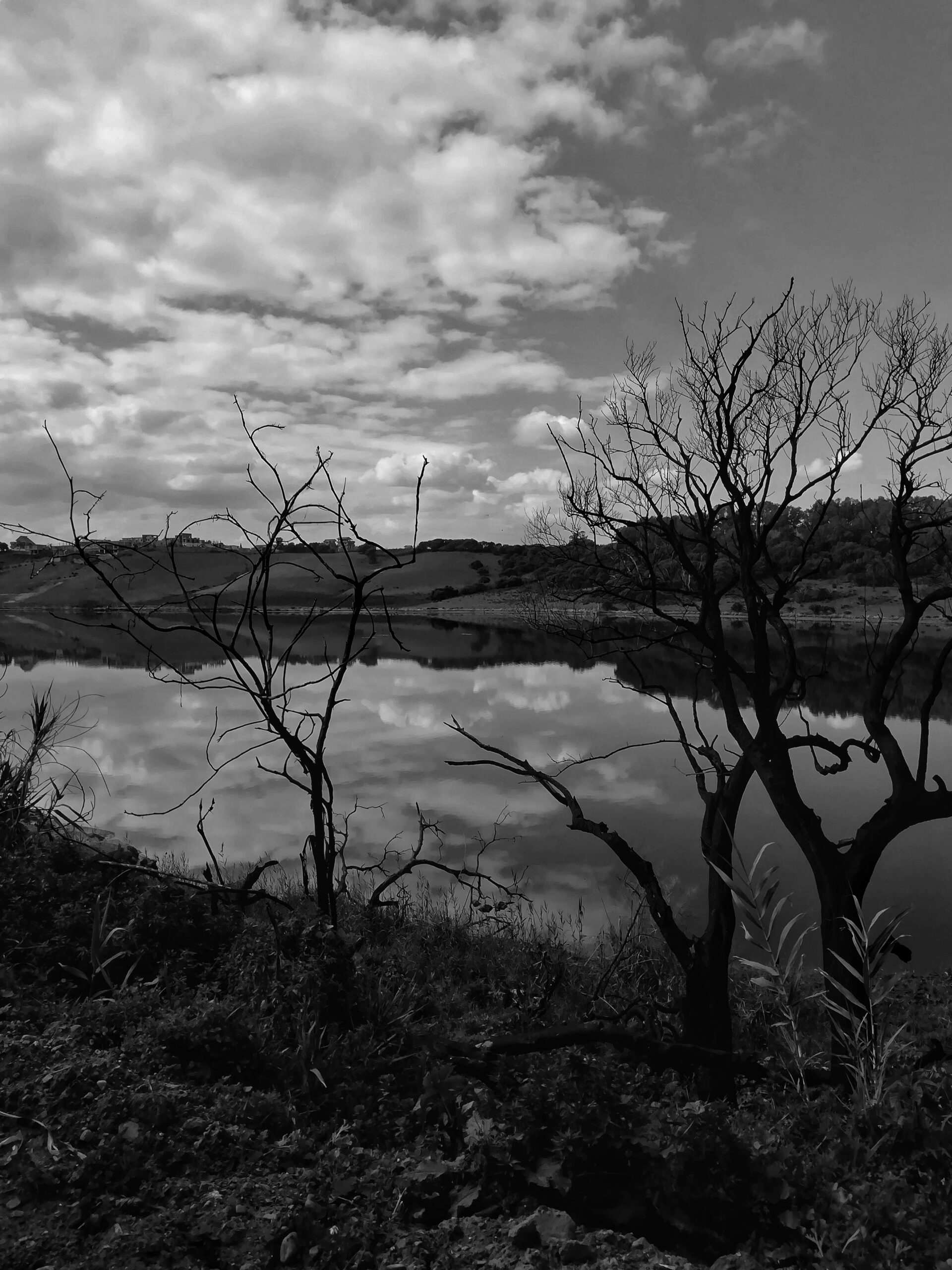 Le lac de Réghaïa, zone humide à l’est d’Alger