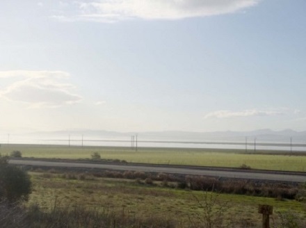 Le lac Fetzara, vaste zone humide à l’ouest d’Annaba