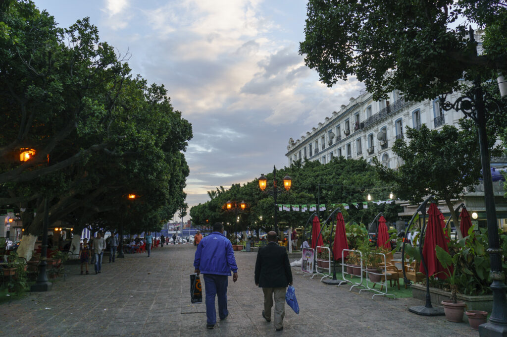 Le Cours de la Révolution et ses ficus, Annaba