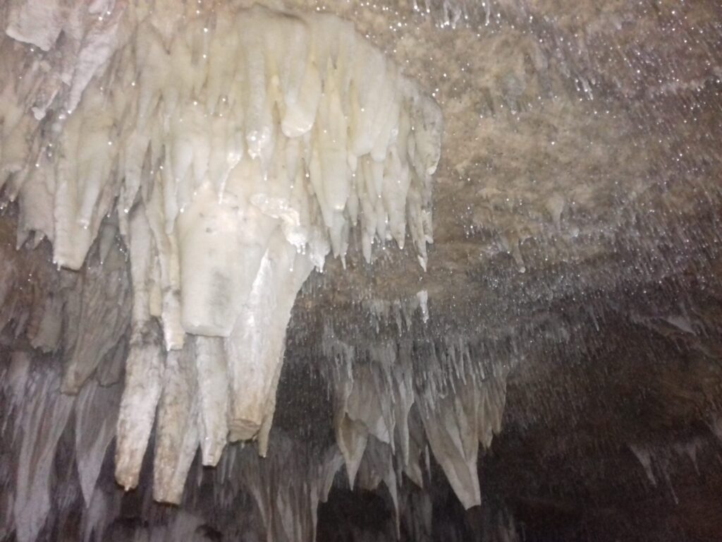 Concrétions des Grottes Merveilleuses de Jijel