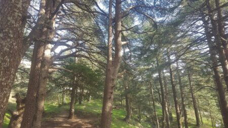 Blida
